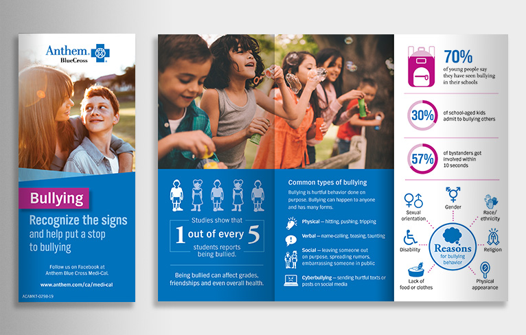 CA Anit-Bullying Campaign Print brochure